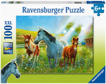Three Horses Puzzle