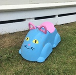 T7: CUTE RIDE ON CAT