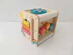 Petit Activity Cube