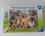 Pet Puzzle