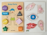 Body Parts and Senses Puzzles