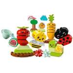 Duplo: Organic Garden