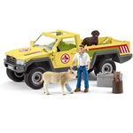 Veterinarian Visit At The Farm