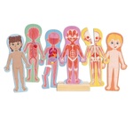Magnetic Body Puzzle