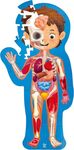 Hape Human Body Puzzle 