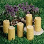 Garden Bugs Playdough Rollers