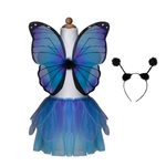 Blue Butterfly Dress Up Set