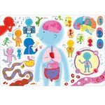 Human Body Puzzle 