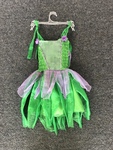 Green/Purple Fairy Dress