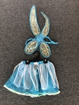 Tutu & Wings 