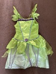 Green Fairy with Velcro wings attached