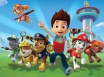 M35: Paw Patrol 2