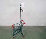 Bunnings Trolley