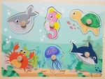 Ocean Life