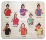 Sign Colours (Maori & English)