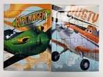 Planes Puzzles x2