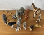 Zoo Animals Set