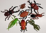 Insect Set