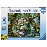 Creepy Crawlies Puzzle