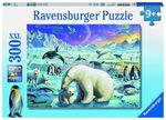 Polar Animals Gathering Puzzle