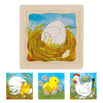 Chicken Egg Lifecycle Puzzle