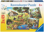 Forest Zoo Pets Puzzle
