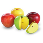Magnetic Fraction Apples