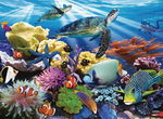 Ocean Turtles puzzle