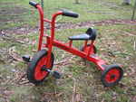 Pedal Trike with Passenger Step