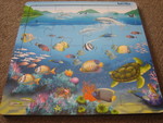 Reef Fish Puzzle