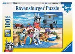 No Dogs On The Beach Puzzle