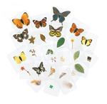 Laminated Specimens Set