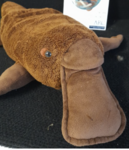 Weighted Percy the Platypus 2.1 kg & Book