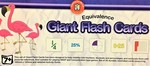 Equivalence Giant Flash Cards