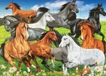 Wild Horses Puzzle 48 pc