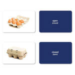 Opposites Flashcards