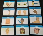 Body Flashcards