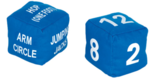 HART Fitness Dice Set