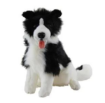Weighted 2.5kg - Berkeley the Border Collie