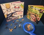 Fascinating World of Bugs Kit