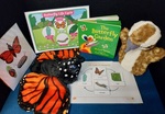 The Butterfly Garden Kit