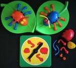 Beetle Fine Motor Game