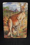 Kangaroo with Joey Puzzle 12 pc