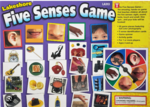 Five Senses Game