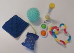 Sensory Kit -  Set of 5