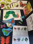 Caterpillar to Butterfly Lifecycle Books and Manipulatives Set