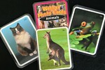 Animals Webber Photo Cards