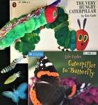 Caterpillar to Butterfly Lifecycle Books and Manipulatives Set