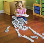 Skeleton Floor Puzzle (life size) 15 pc