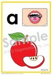 Multisensory Alphabet Flashcards